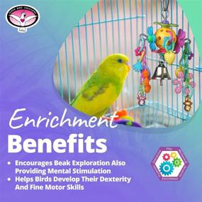 img 1 attached to 🦜 Super Bird Creations SB1088 Birdie Bouquet Bird Toy: Perfect for Small/Medium Birds, Measures 6x3x2