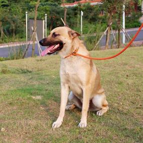 img 2 attached to 🐾 Lynxking Dog Leash Rope Leads 2 Packs: Premium Slip Leashes with Leather Clips and Double Layer Braided Handle for Small Medium Large Dogs (Orange and Black, 6ft Strong Snap Hook)