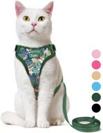 🐱 escape-proof supet cat harness and leash set, adjustable vest for walking large and small kittens and dogs logo