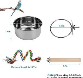 img 3 attached to 3-Pack Stainless Steel Bird Feeding Cups with Clamp Holder, Ideal for Parrots, Parakeets, Conures, Cockatiels, Lovebirds & More - Includes 2 Bird Stand Toys for Budgies, Chinchillas, and other Small Birds