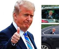 donald trump stickers window cling логотип