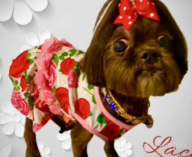 img 1 attached to KYEESE Floral Rose Dog Dresses with Flowers Decoration - Elegant Princess Dress for Small Dogs, Ideal for Spring and Summer - Puppy Apparel and Pet Clothing review by Kelz Dixon