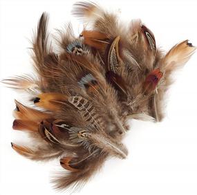 img 2 attached to Natural Mix Plumage: Add A Touch Of Rustic Charm With ZUCKER™ Ringneck Feather