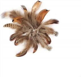 img 1 attached to Natural Mix Plumage: Add A Touch Of Rustic Charm With ZUCKER™ Ringneck Feather