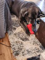 img 1 attached to Indestructible Dog Chew Toys For Aggressive Chewers - Non-Toxic Natural Rubber Toy For Large And Medium Breeds By Rmolitty (Rocket-Red) review by Christopher Ruth