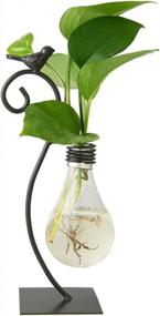 img 4 attached to Modern Glass Hydroponic Planter With Bird Stand For Home Decoration - Marbrasse Bulb Vase