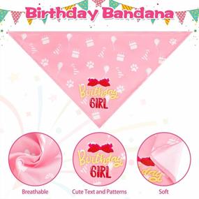 img 2 attached to Happy Birthday Dog Party Kit - Celebratory Outfit With Bandana, Hat, And Squeaky Cake Toy For Girls In Small, Medium, And Large Sizes; Themed Dog Birthday Party Supplies