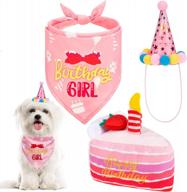 happy birthday dog party kit - celebratory outfit with bandana, hat, and squeaky cake toy for girls in small, medium, and large sizes; themed dog birthday party supplies logo