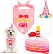 happy birthday dog party kit - celebratory outfit with bandana, hat, and squeaky cake toy for girls in small, medium, and large sizes; themed dog birthday party supplies logo