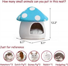 img 3 attached to Cozy Blue Mushroom Mini House For Small Pets: Hollypet Warm Bed For Hamsters, Hedgehogs, Rats, And Guinea Pigs