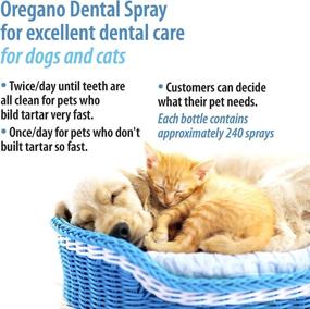 img 1 attached to 🐶 Teliapets Oregano Dental Care Spray - Natural Teeth Cleanser for Pets - Eliminates Bad Breath, Plaque, Periodontitis & Gingivitis - Quick & Easy Oral Relief - 30ml / 1oz