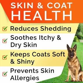 img 3 attached to Wild Alaskan Salmon Oil Omega 3 Treats For Dogs - Allergy & Itch Relief, Skin/Coat Supplement, Joint Health + 180 Servings!