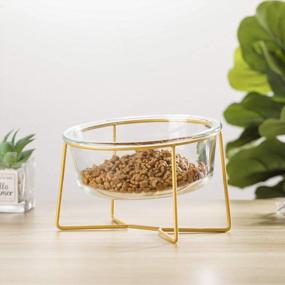 img 1 attached to Elevated Pet Feeding Bowl With Gold Iron Stand - Large Glass Dish For Comfortable Cat And Dog Feeding Of Food And Water