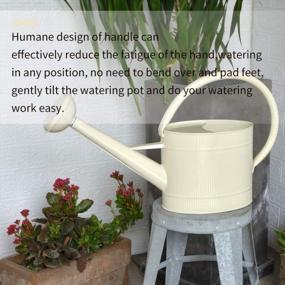 img 3 attached to Farmhouse Decorative Watering Can - 1.3 Gallon Metal Plant Watering Can With Removable Spout, Ideal For Indoor And Outdoor Use, Great Christmas Gift And Decoration