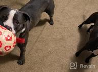 img 1 attached to Train Your Canine'S Foraging Skills With QDAN'S Soccer Ball And Snuffle Mat Combo! review by John Martin