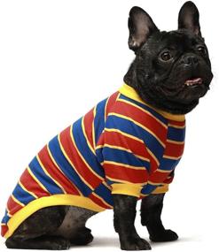 img 1 attached to 🐶 Fitwarm 2-Pack Striped Dog Shirts: 100% Cotton Puppy T-Shirts for Breathable and Stretchy Dog Clothes