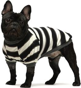 img 2 attached to 🐶 Fitwarm 2-Pack Striped Dog Shirts: 100% Cotton Puppy T-Shirts for Breathable and Stretchy Dog Clothes