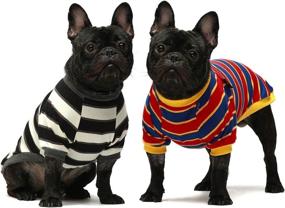 img 4 attached to 🐶 Fitwarm 2-Pack Striped Dog Shirts: 100% Cotton Puppy T-Shirts for Breathable and Stretchy Dog Clothes