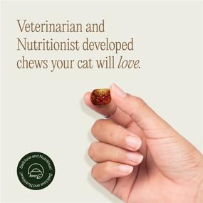 img 1 attached to 🐾 PawTree Joint Supplement for Cats: Advanced Hip Mobility & Discomfort Support Chewables (45 Count)