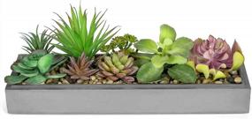 img 4 attached to Modern Gray Clay Planter Tray With 15-Inch Mixed Color Artificial Succulent Arrangement