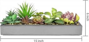 img 2 attached to Modern Gray Clay Planter Tray With 15-Inch Mixed Color Artificial Succulent Arrangement