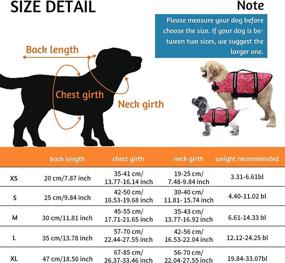 img 3 attached to 🐶 Cielo Meraviglioso Dog Life Jacket - Pet Safety Flotation Vests with Lift Handle & Reflective Stripes for Small Medium Large Dogs Swimming Boating