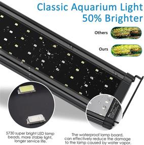 img 2 attached to AQQA Aquarium Extendable Multi Color Freshwater