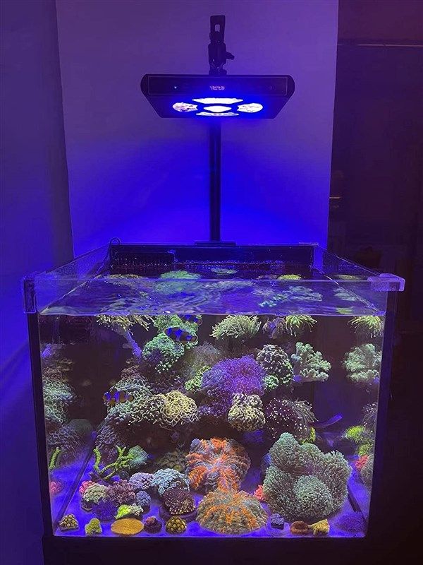 Hipargero led shop aquarium light