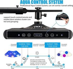 img 2 attached to 🐠 Hipargero 100W LED Aquarium Light: Dimmable, Timer-enabled, perfect for Marine Saltwater Tank with SPS/LPS Coral