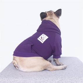 img 2 attached to 🐶 iChoue French Bulldog Frenchie Clothes Hoodies for Dogs - Dark Purple, Medium - Pug, English Boston Terrier, Bully Pitbull, Corgi Sweatshirt Sweater Clothing