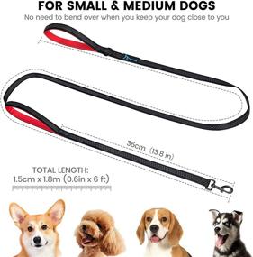 img 3 attached to PuppyDoggy Reflective Dog Leash for Small to Medium Dogs 🐶 - 6 ft with 2 Traffic Padded Handles - Blue (1 Pack)