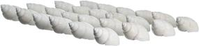 img 1 attached to 🐚 Optimized Hermit Crab Shells: Turbo Shells, 24 Babylonia Shells (1 1/2"-2 1/4"), Hermit Crab House Décor + Complimentary Nautical eBook by Joseph Rains