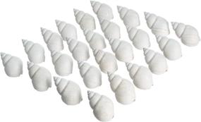 img 3 attached to 🐚 Optimized Hermit Crab Shells: Turbo Shells, 24 Babylonia Shells (1 1/2"-2 1/4"), Hermit Crab House Décor + Complimentary Nautical eBook by Joseph Rains
