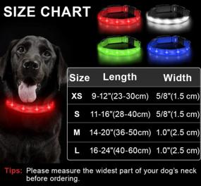 img 1 attached to Taglory Light Up Dog Collars With AirTag Holder, Tpye C Rechargeable Led Dog Collar For Night Walking, 4 Colors And 4 Sizes Waterproof Glow In The Dark Dog Collars For Medium Dogs, Red