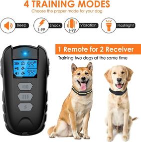 img 3 attached to 🐶 Waterproof Rechargeable Dog Training Collar with Remote – Dual Dog System, Electric Dog Shock Collar with Beep Vibration & Adjustable Safe Shock Levels, Suitable for Small Medium Large Dogs - 0 to 99 Levels of Training Set…