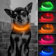 glowseen led dog collar rechargable logo