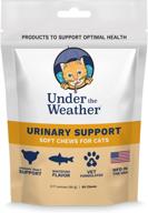 🐱 enhance your cat's wellness with under the weather soft chews logo