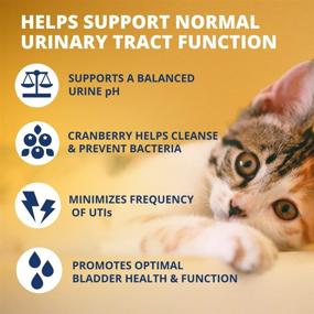 img 1 attached to 🐱 Enhance Your Cat's Wellness with Under the Weather Soft Chews