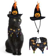 🎃 rypet halloween pumpkin hat and cat collar with bells - cat costume suit for cats and small dogs, perfect for halloween logo