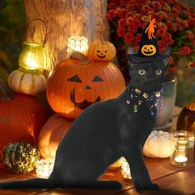 img 3 attached to 🎃 RYPET Halloween Pumpkin Hat and Cat Collar with Bells - Cat Costume Suit for Cats and Small Dogs, Perfect for Halloween