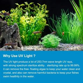 img 2 attached to PULACO 5W UVC Submersible Lamp for Aquarium, Pond, 🐠 Garden Water Project - Algae Clean Light for Pet Drinking Water