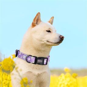 img 1 attached to 🐾 Stay Safe and Stylish with our Reflective Dog Collar Leash Combo: Adjustable, Cute Matching Set for Puppy, Small, Medium, and Large Dogs - Perfect for Pet Girls and Boys for Comfy Easy Walks, Running, Outdoor Activities, and Hiking