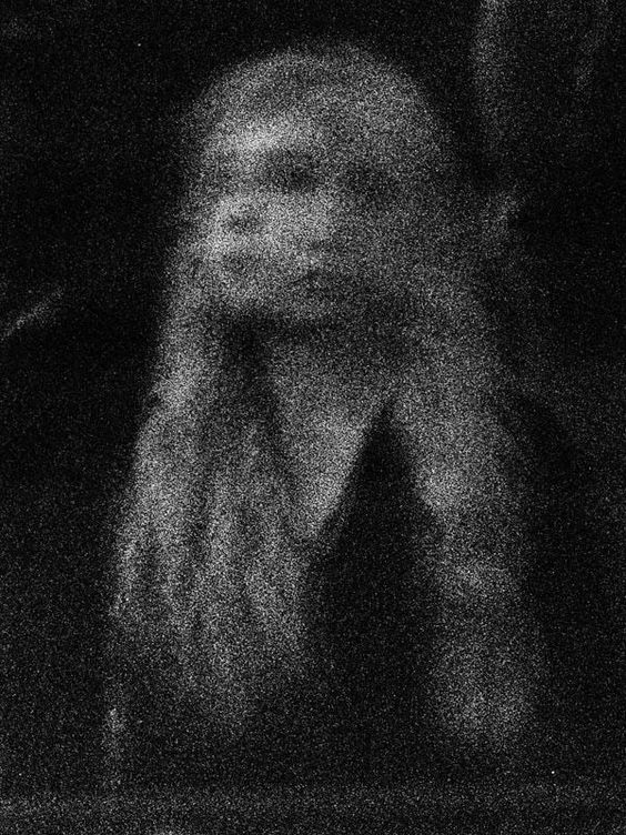 Jennifer Schreier photo