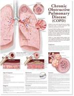 chronic obstructive pulmonary disease anatomical logo
