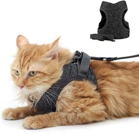 img 4 attached to Harness Walking Adjustable Comfortable Outdoor Cats