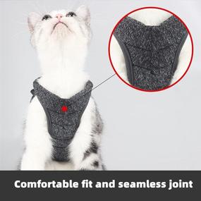 img 2 attached to Harness Walking Adjustable Comfortable Outdoor Cats