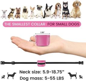 img 2 attached to 🐶 MASBRILL Small Dog Bark Collar - Humane No Shock Anti Barking Collar for Small Dogs - Rechargeable & Effective Stop Barking Collar with 7 Sensitivity Levels - Beep Vibration Technology