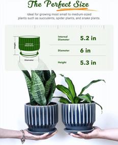 img 3 attached to Stylish And Practical Ceramic Plant Pots Set With Unique Crackle Glaze Design For Indoor Plants – 6 Inch, Set Of 2 With Drainage Hole, Saucer And Nets