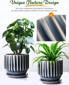 img 2 attached to Stylish And Practical Ceramic Plant Pots Set With Unique Crackle Glaze Design For Indoor Plants – 6 Inch, Set Of 2 With Drainage Hole, Saucer And Nets