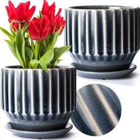 img 4 attached to Stylish And Practical Ceramic Plant Pots Set With Unique Crackle Glaze Design For Indoor Plants – 6 Inch, Set Of 2 With Drainage Hole, Saucer And Nets